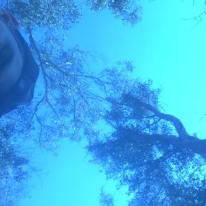 Meet your Posher, Jake